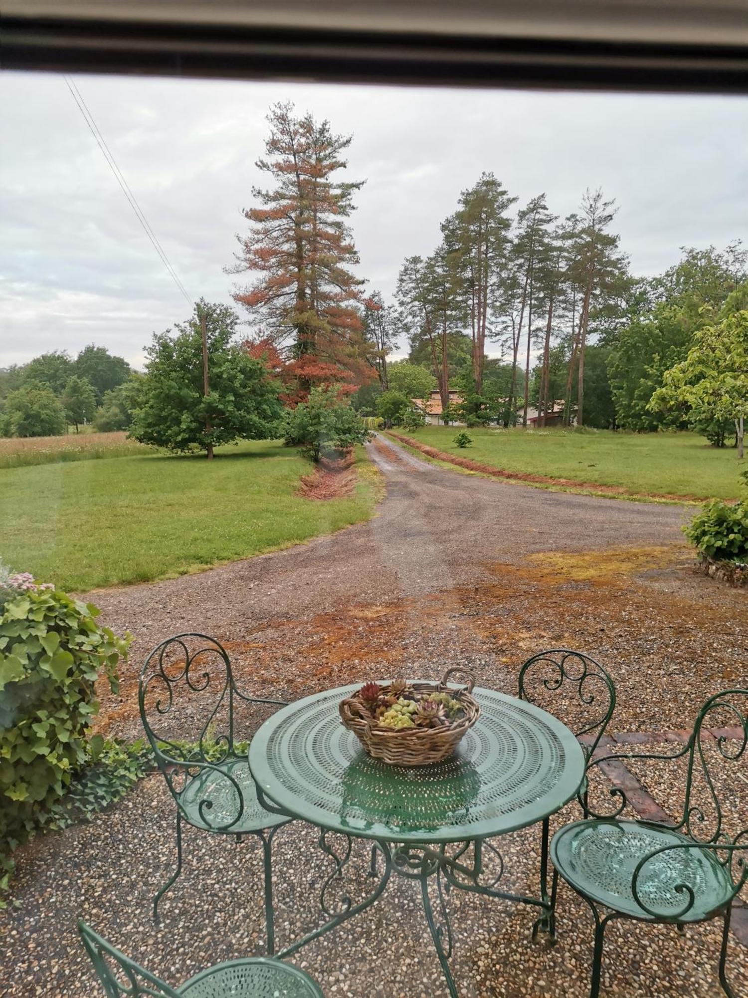 Bed and Breakfast Castel La Bergerie Laglorieuse Экстерьер фото